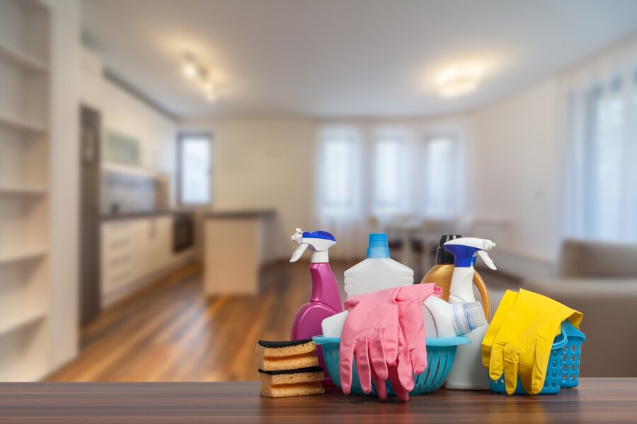 Ace Removal Services LLC's Hoarding Cleanup 